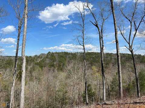 00 Jakes Landing, Ellijay, GA 30540