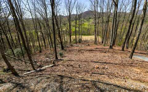 17m Ridges Overlook, Hayesville, NC 28904