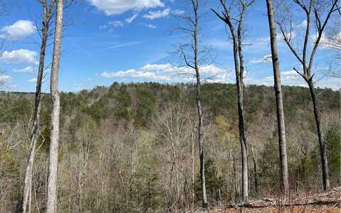 Lot87 Jakes Landing Overlook, Ellijay, GA 30540