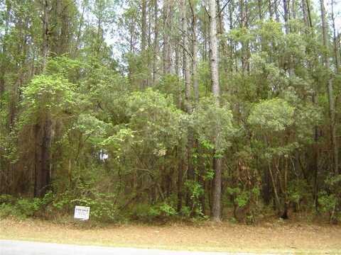 Lot 42 Lazy Eight - Eagle Neck Way, Townsend, GA 31331