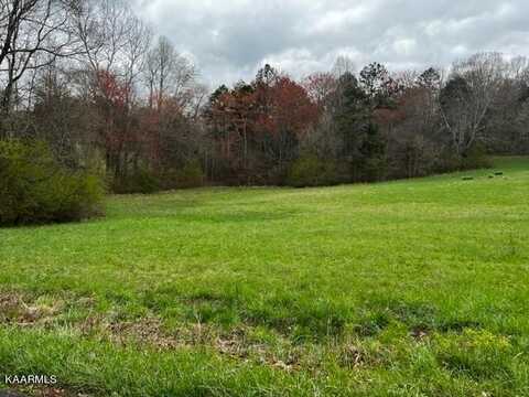 Lot 1 Fort Sumter Rd, Knoxville, TN 37938
