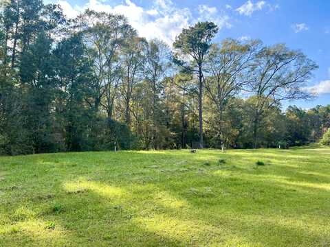 4673 Hwy 589, Sumrall, MS 39482