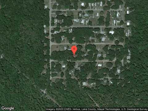 Ringneck, ALTOONA, FL 32702