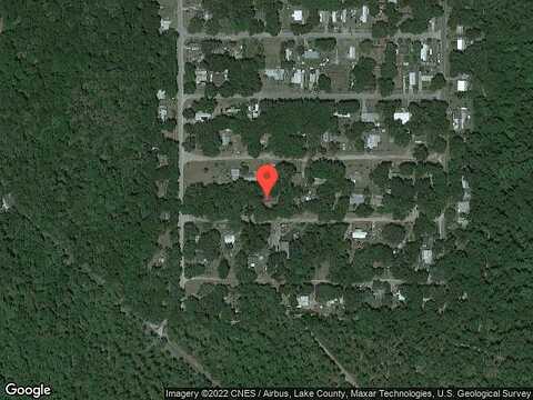 Ringneck, ALTOONA, FL 32702