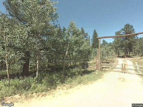 Ridge, NEDERLAND, CO 80466