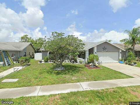 Whitetail, NEW PORT RICHEY, FL 34653