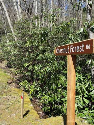 99999 Chestnut Forest Road, Fairview, NC 28730