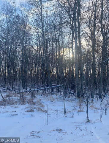 260Th, HEWITT, MN 56453