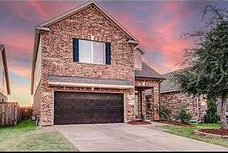 Aleppo Pine, CYPRESS, TX 77433