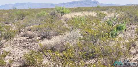 265 Champagne Hills Rd Road, Elephant Butte, NM 87935