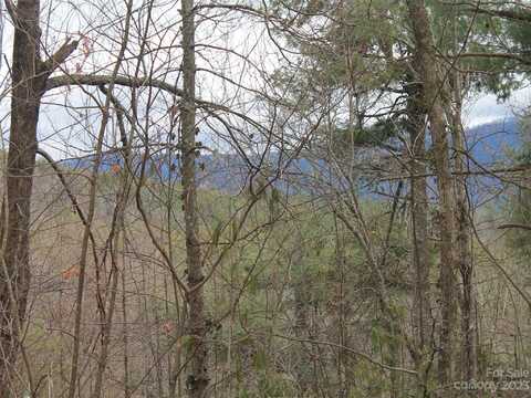 0000 Wildlife Trail, Hendersonville, NC 28739