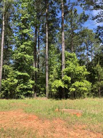 LOT 3 C LIGHTHOUSE Point, Lincolnton, GA 30817