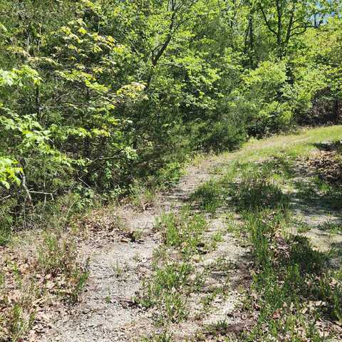 L-65 B-1 Kayenta Circle, Cherokee Village, AR 72529