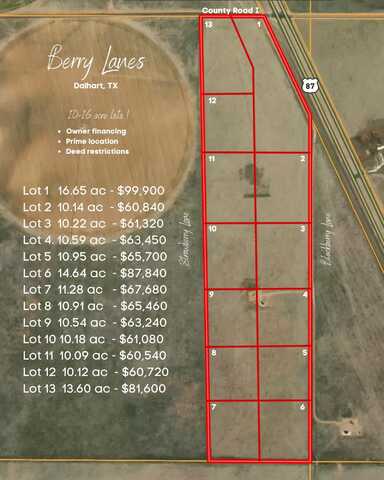 Tracts 1- 13 Blackberry & Strawberry Lane, Dalhart, TX 79022