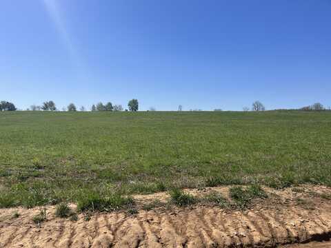 300 CR 528, Fredericktown, MO 63645