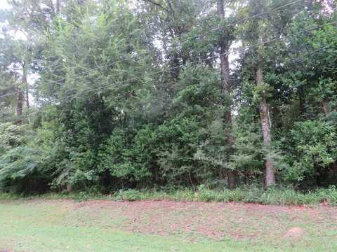 LOT10/BLOCK 103 HORNBEAM, Village Mills, TX 77663