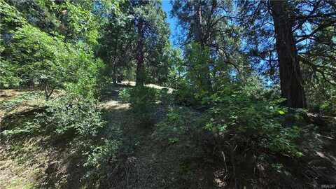 22494 Mojave River Road, Cedarpines Park, CA 92322