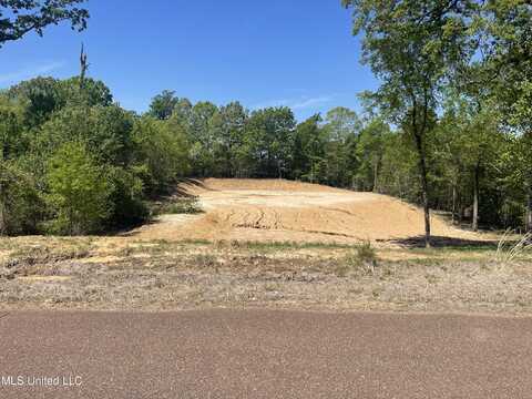 152 Oak Manor Drive, Coldwater, MS 38618