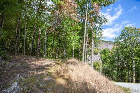 Lot 156 Lonesome Valley Rd, Sapphire, NC 28774