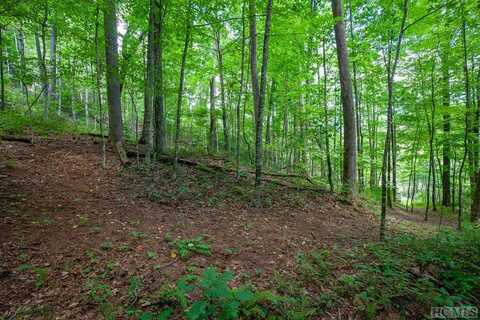 Lot 120 Lonesome Valley Rd, Sapphire, NC 28774