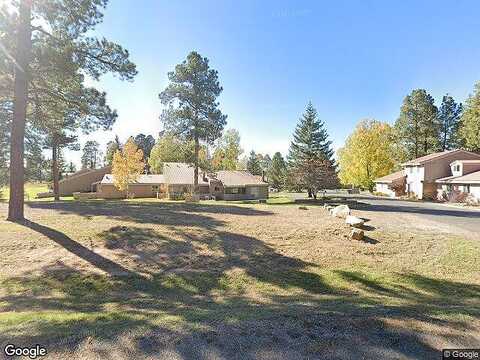 Pinon, PAGOSA SPRINGS, CO 81147