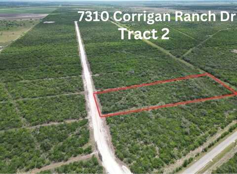 7310 Corrigan Ranch Drive- Tract 2, Skidmore, TX 78389