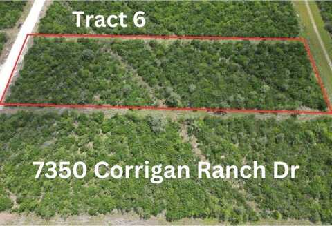 7350 Corrigan Ranch Drive- Tract 6, Skidmore, TX 78389