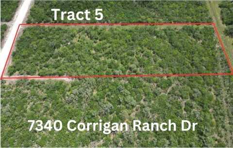 7340 Corrigan Ranch Drive- Tract 5, Skidmore, TX 78389