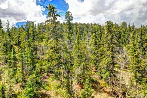 0 Wicaka Trail, Hartsel, CO 80449