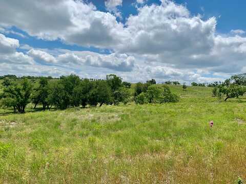 Lot 14 Badger Ridge Rd, Fredericksburg, TX 78624