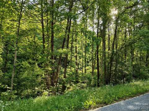 Lindsey Loop Road, Fletcher, NC 28732