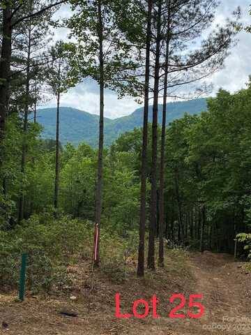 Lot 25 Monteith Place, Mill Spring, NC 28756