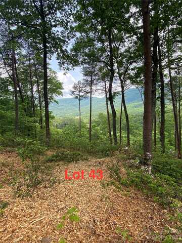 Lot 43 Deep Gap Farm Road E, Mill Spring, NC 28756