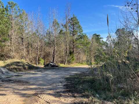 0 Railroad North Avenue, Harleyville, SC 29448