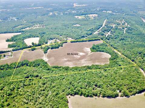 60 Acres Skyline Rd, Geneva, AL 36340