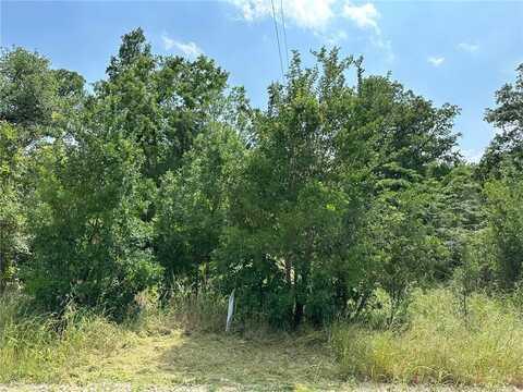 Tbd Berry Creek Drive, Caldwell, TX 77836