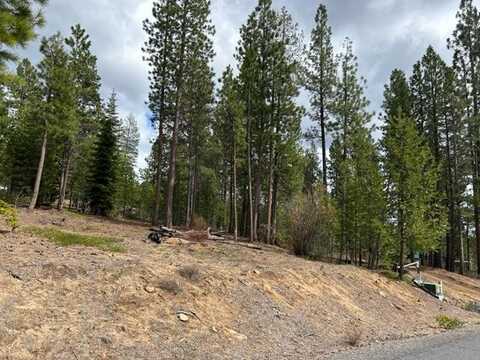 4 Red Cone Way, Crescent Lake, OR 97733