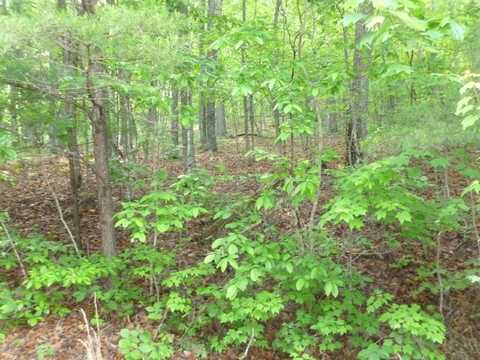54 Homberg Lane, Crossville, TN 38558