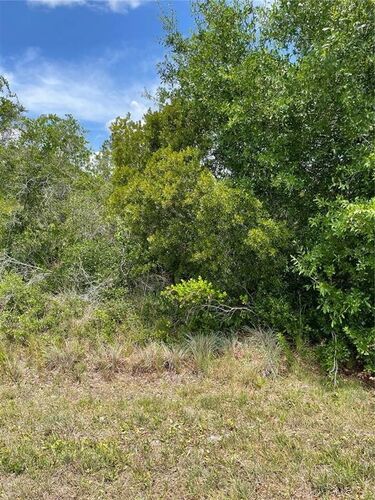 33514 33522 33528 WASHINGTON Loop Rd  