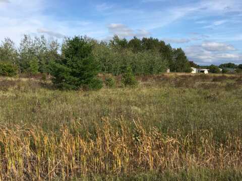 TOWNLINE ROAD, CHEBOYGAN, MI 49721