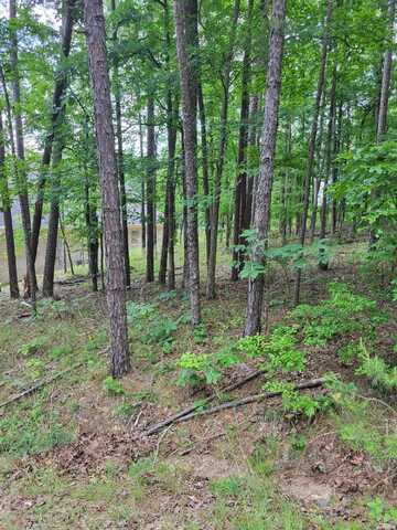 Lots 1194-1195 CHERRY HILL, Hot Springs, AR 71913
