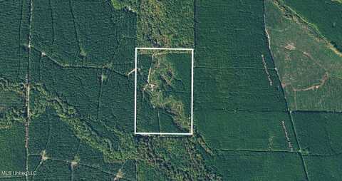 Weyerhaeuser Sod Road, Scooba, MS 39358