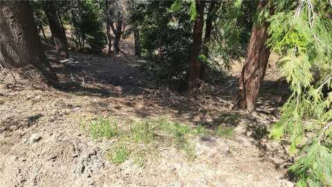 29186 Arrowhead Drive, Lake Arrowhead, CA 92352