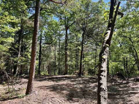 Tract 7 Terrapin Road, Harrison, AR 72601