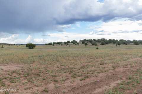 10 Acres W DEEP WATER Road, Paulden, AZ 86334