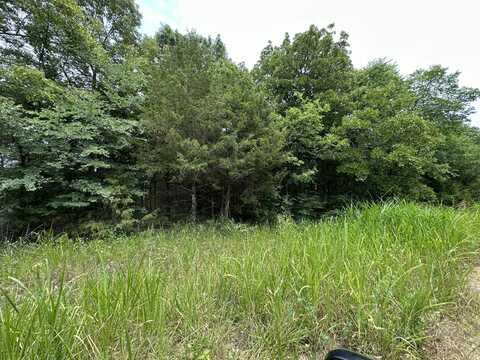 Lot 40 Cedar Lane, Diamond City, AR 72644