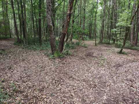 LOT 2 Coatsworth Drive, Stockbridge, GA 30281