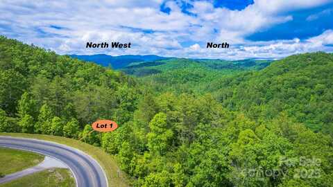 Reynolds Parkway lot: 1, Ferguson, NC 28624