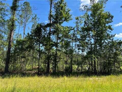 Lot 11 WALKER FERRY Road, Pollock, LA 71467