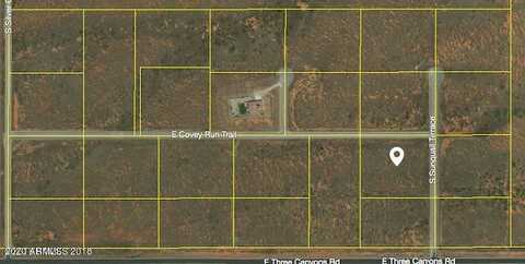 Tbd E Covey Run Trail, Hereford, AZ 85615